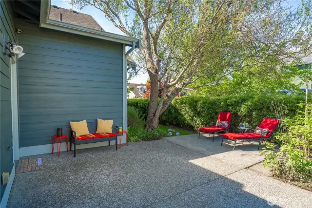 Escape to this tranquil outdoor retreat, featuring a spacious patio with lush landscaping and mature trees, providing shade and privacy.