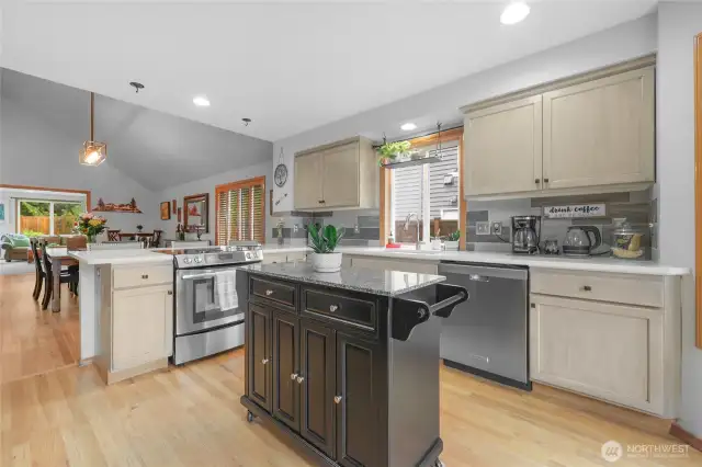 This kitchen's spacious design allows plenty of room for food preparation, plus there's no lack of storage. The large countertop makes this an excellent location for doing so. The ample natural light makes the area bright.  Hardwood floors lead out to large dining room area and all appliances included!