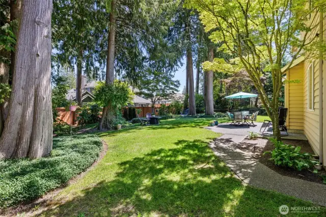 Lush foliage, numerous plantings, mature trees and landscape.