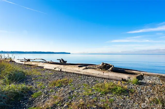 Birch Bay