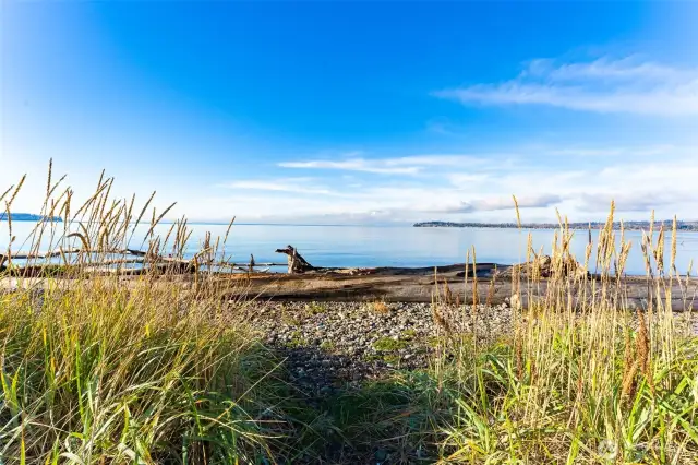 Birch Bay