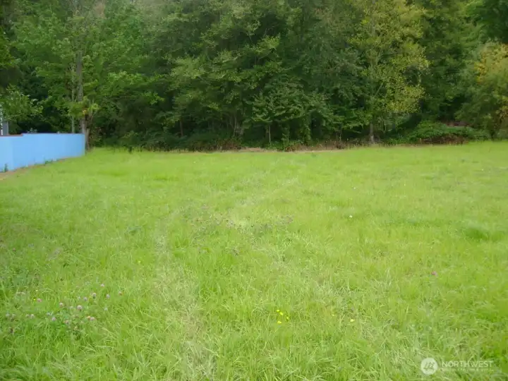Nearly an acre of level area for a homesite or two.