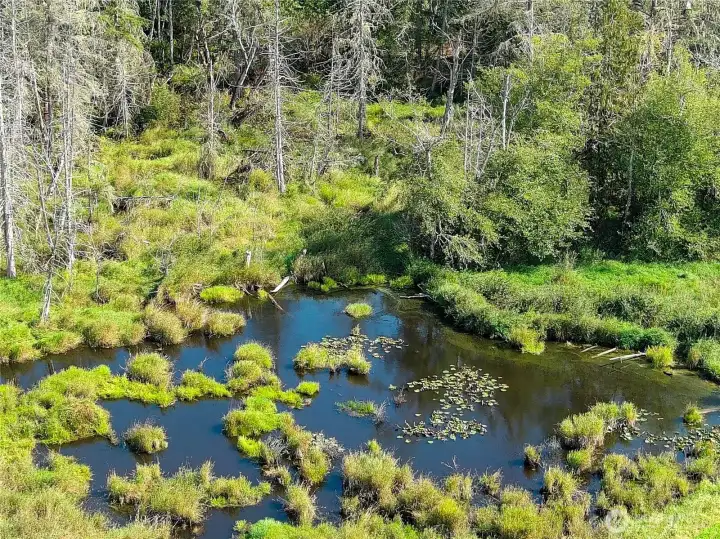 Your own private fishing hole just off the old elevated RR grade thru the wetland area. Perfect for wildlife viewing.