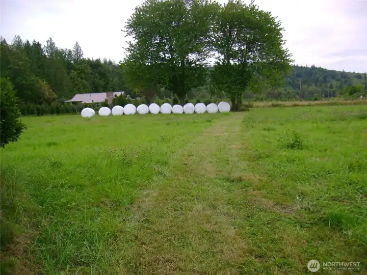 The property was used a hay field in the past.