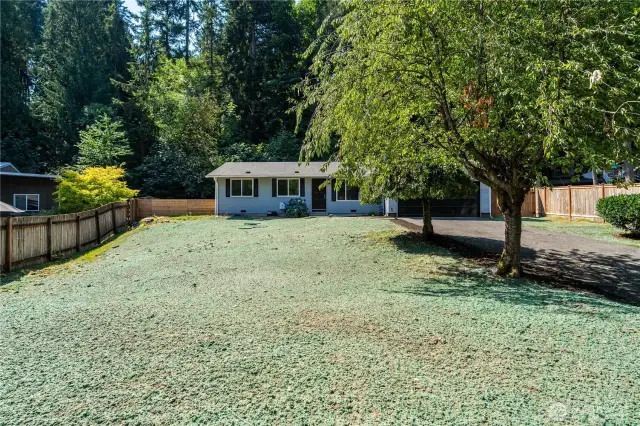 Front Yard