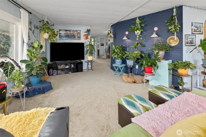 Living Room looking back into family room area. Plants thrive in here due to all the natural light.