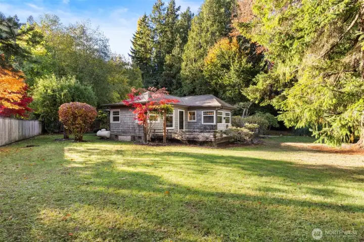 Harvest plums and cherries from your own trees to hone your pie baking skills.