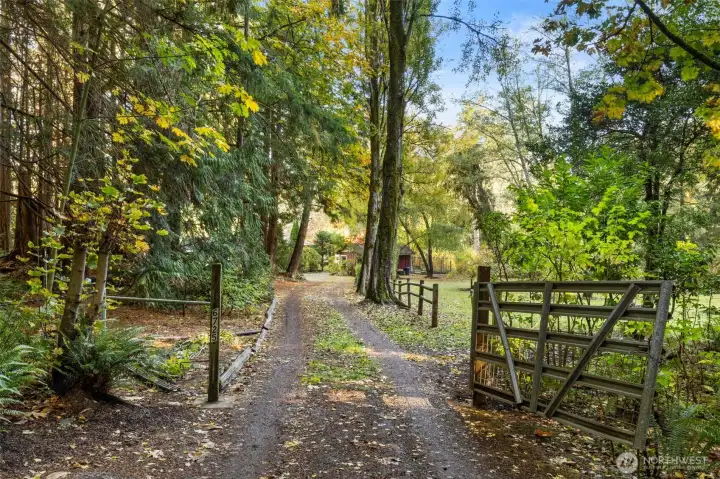 Established landscaping provides year-round allure, forever changing with the seasons.