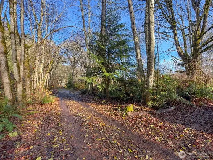 Driveway to lower patio.