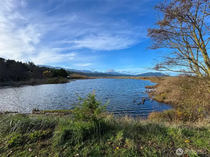 Near the Mouth of the Elwha River