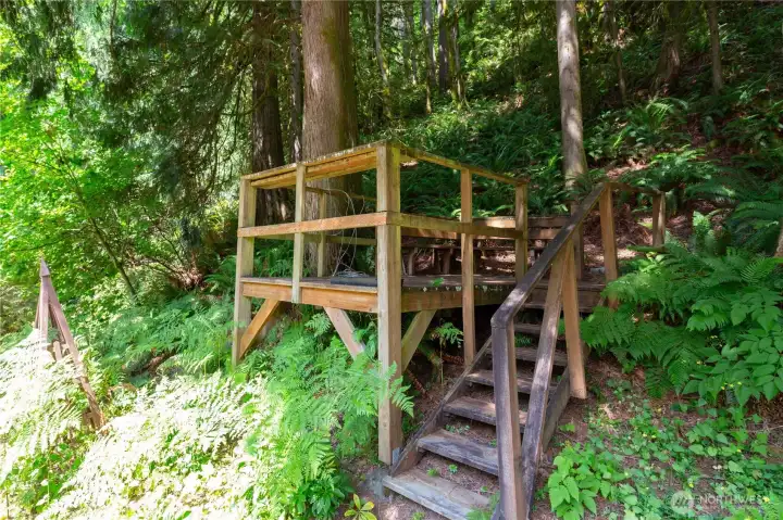 Small deck in surrounding woods