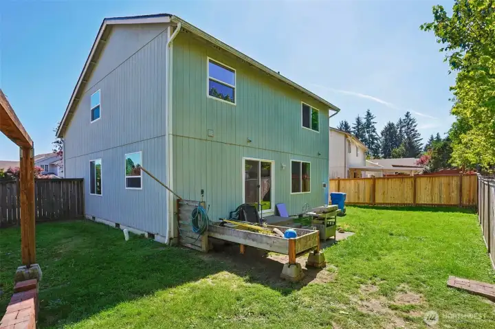 Back yard