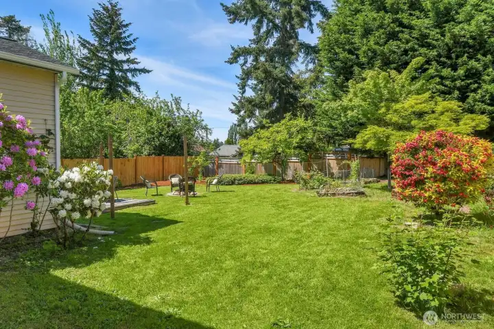Expansive fully fenced backyard with lush lawn, garden space, and room for outdoor entertaining or play. Expansive fully fenced backyard with lush lawn, garden space, and room for outdoor entertaining or play.