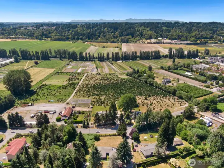 House overlooks rural/agricultural areas to create a peaceful and secluded neighborhood view.
