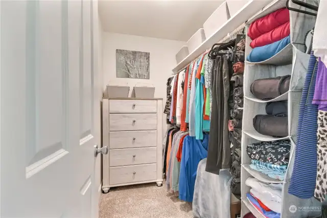 Big walk-in closet with closet organizer