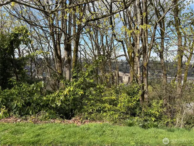 Front Foot of Vacant Land