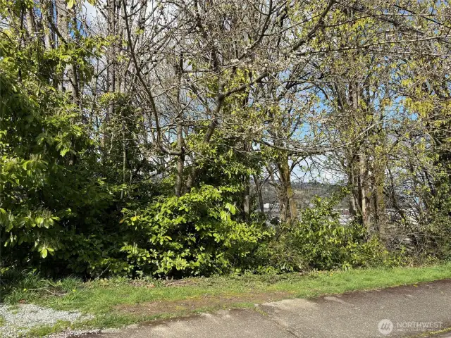 Vacant Land facing West