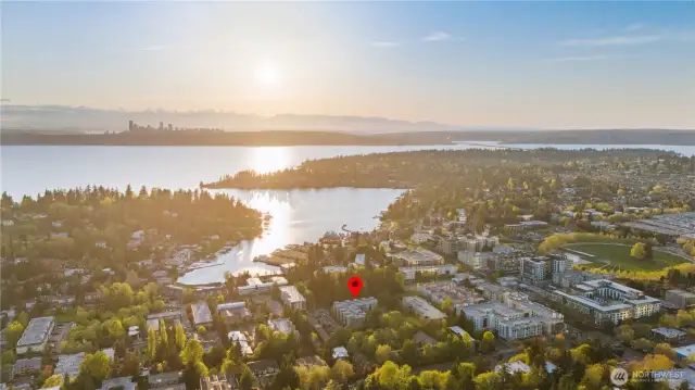Located just steps away from Old Bellevue's charming boutiques, renowned restaurants, and scenic waterfront parks.