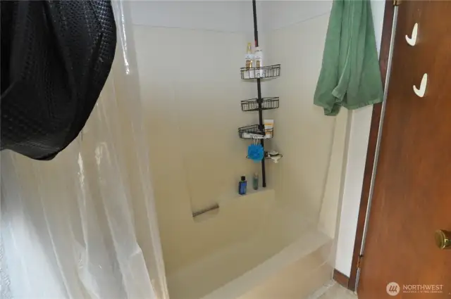Back house bathtub.