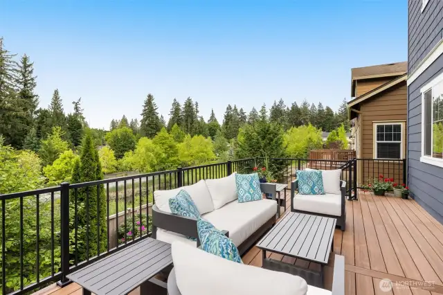 Notice the steps off of the deck leading to the downstairs yard