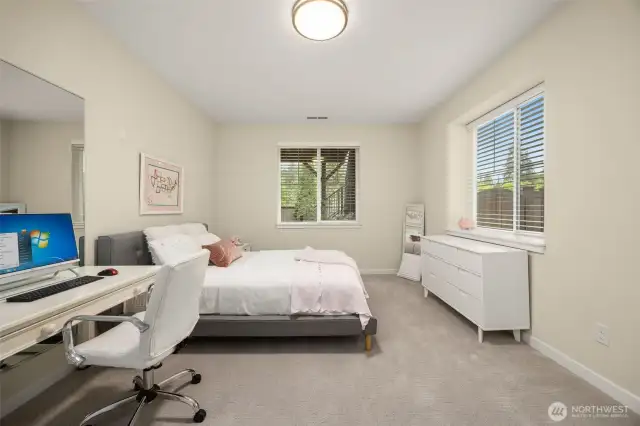 Lower level bedroom has plenty of room for a work station