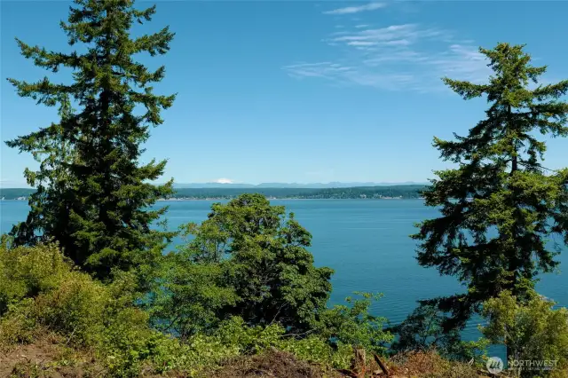 Gorgeous water views of boat traffic from EVerett, whale watching & the mountain views are of snow capped Mt Baker & the Cascade Mtn Range.