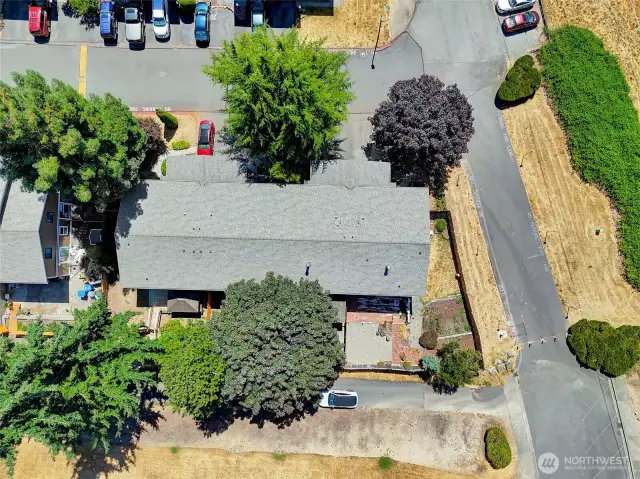 Aerial view of the neighborhood.