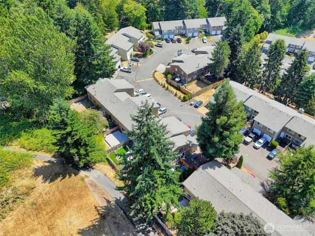 Aerial view of the neighborhood.