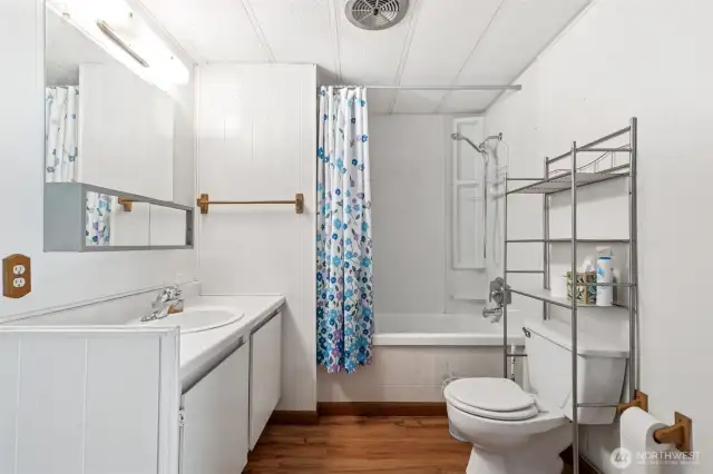 Hall bathroom
