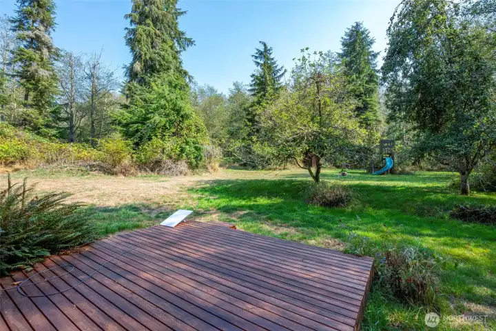 Looking out at yard from back deck.
