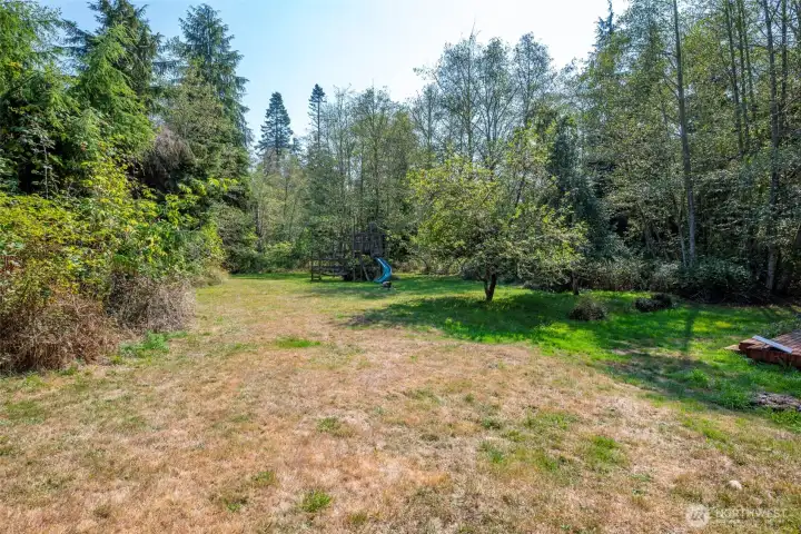 Tons of yard space and acreage to explore.