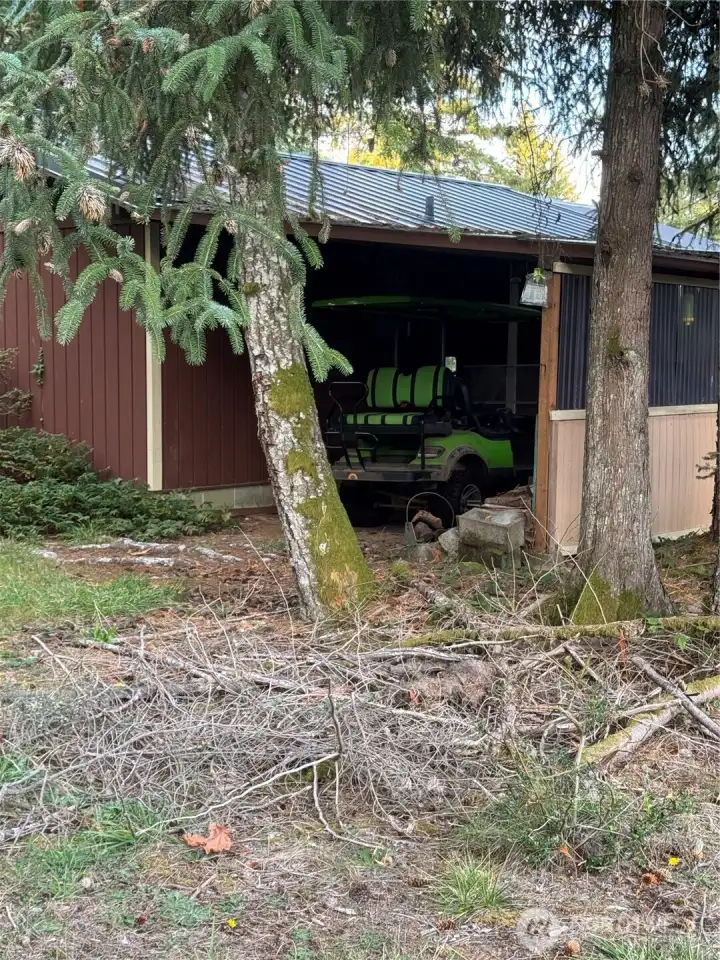 Even comes with the golf cart!