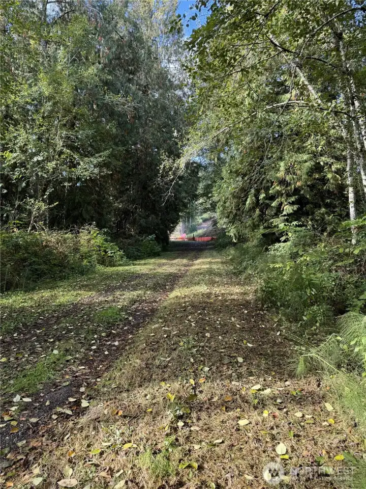 Private, dead-end road looking west toward property gate.