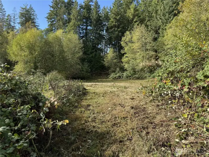 Top of 1st trail, to clearing.