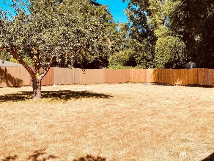 Large fully fenced in back yard. Perfect for gardening, or bbq’s.