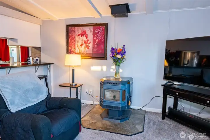 view of pellet stove in family room