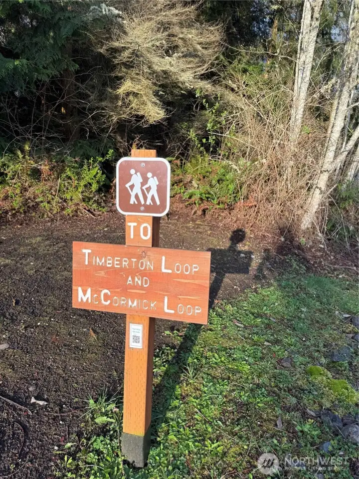 Port Ludlow offers miles of hiking trails... some take you to majestic mountain and water views, and don't be surprised to come across deer, eagles, owls... nature at its best! Port Ludlow offers miles of hiking trails... some take you to majestic mountain and water views, and don't be surprised to come across deer, eagles, owls... nature at its best!
