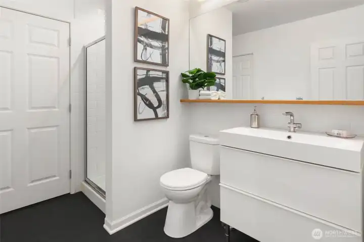 Lower level bathroom