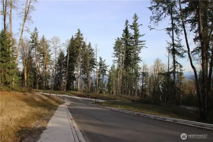 Wonderful paved entrance road
