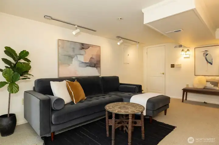 Downstairs family room.