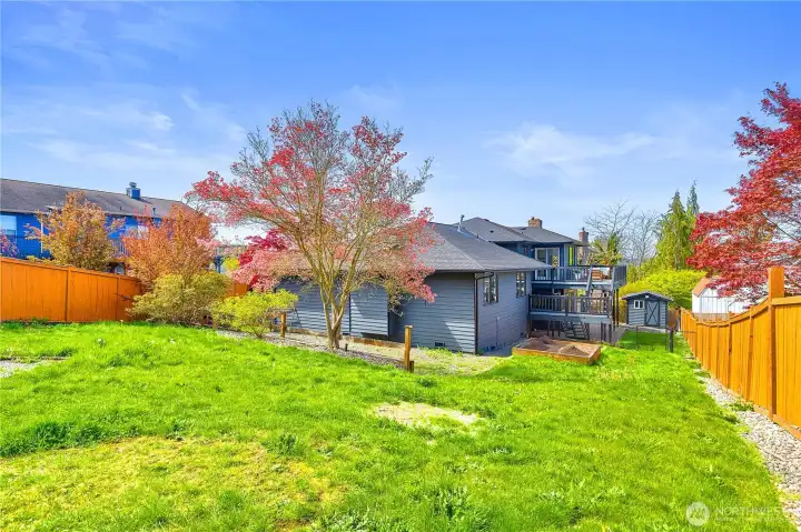 Fully Fenced backyard