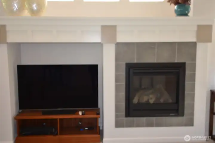 Propane Fireplace
