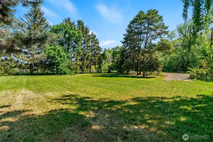 back yard