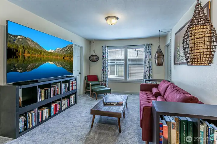 Family Room with 2 large storage closets