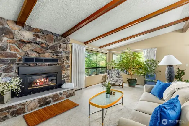 The fireplace is a wonderful for chilly evenings.