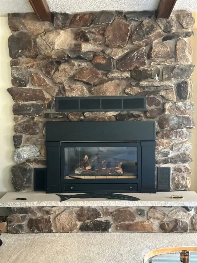 The propane fireplace insert is nice for chilly evenings.
