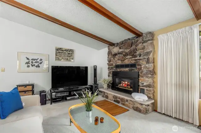 TV area