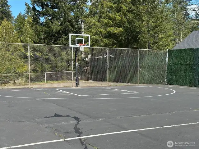 Sport court
