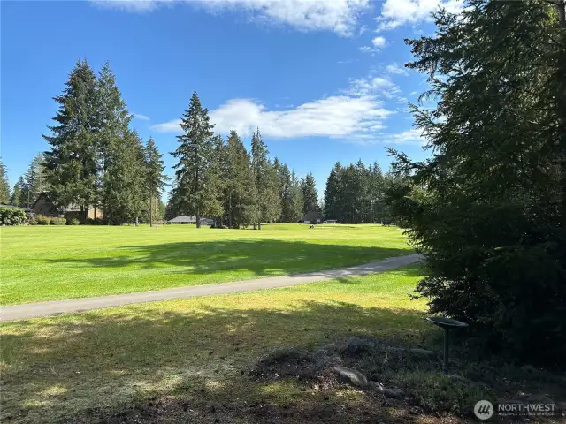 The fairway off of the back side of the house.