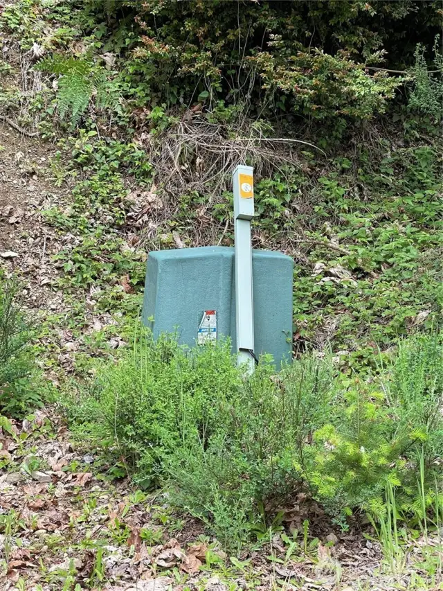 Electric on site